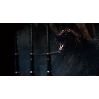  Bloodborne: Порождение крови. Game of the Year Edition для PlayStation 4 - Превью изображения №7 — Интернет-магазин Time-Shop