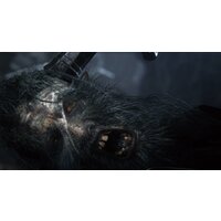  Bloodborne: Порождение крови. Game of the Year Edition для PlayStation 4 - Превью изображения №9 — Интернет-магазин Time-Shop