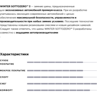 Зимние шины Pirelli Winter Sotto Zero Serie III 315/30R21 105V - Превью изображения №6 — Интернет-магазин Time-Shop