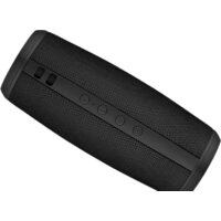 Беспроводная колонка Niceboy Raze 2 Ego - Превью изображения №4 — Интернет-магазин Time-Shop