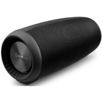 Беспроводная колонка Niceboy Raze 2 Ego - Превью изображения №2 — Интернет-магазин Time-Shop