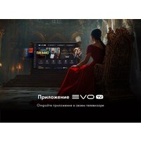 Телевизор Evo TV 50 Black TD0051753RU - Превью изображения №10 — Интернет-магазин Time-Shop
