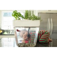 Акваферма Назад к истокам AquaFarm 11 л (белый) - Превью изображения №2 — Интернет-магазин Time-Shop