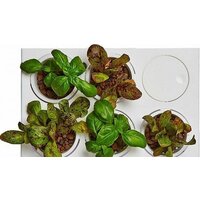 Акваферма Назад к истокам AquaFarm 11 л (белый) - Превью изображения №6 — Интернет-магазин Time-Shop