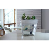 Акваферма Назад к истокам AquaFarm 11 л (белый) - Превью изображения №5 — Интернет-магазин Time-Shop