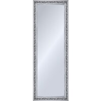 Декарт Настенное в раме 8Л2721 (серебристый)