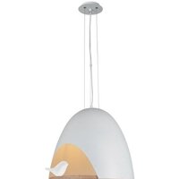 Favourite Volatore 1878-1P