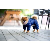 Комбинезон для животных Puppia Jumpesuit А PAPD-JM1672-NY-XXL (синий) - Превью изображения №4 — Интернет-магазин Time-Shop