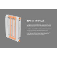 Биметаллический радиатор Теплоприбор БР1 500/90 (7 секций) - Превью изображения №6 — Интернет-магазин Time-Shop