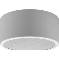 Инсталляционная и рупорная акустика