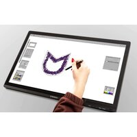 IRBIS SmartView ISM24FIDT