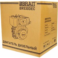Дизельный двигатель Brait BR530DEC - Превью изображения №11 — Интернет-магазин Time-Shop