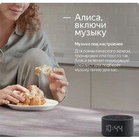 Умная колонка Яндекс Станция Мини 2 с часами (черный оникс) - Превью изображения №22 — Интернет-магазин Time-Shop
