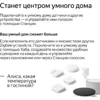 Умная колонка Яндекс Станция Мини 2 с часами (черный оникс) - Превью изображения №19 — Интернет-магазин Time-Shop