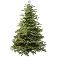 National Tree Company Таежная ТЖ-150 150 см