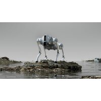 Умный робот-друг Unitree Go2 Pro - Превью изображения №28 — Интернет-магазин Time-Shop