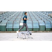 Умный робот-друг Unitree Go2 Pro - Превью изображения №19 — Интернет-магазин Time-Shop