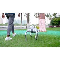 Умный робот-друг Unitree Go2 Pro - Превью изображения №21 — Интернет-магазин Time-Shop