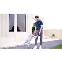 Умный робот-друг Unitree Go2 Pro - Превью изображения №14 — Интернет-магазин Time-Shop