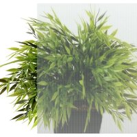 Душевая кабина Triton Сатин B 90x90 - Превью изображения №6 — Интернет-магазин Time-Shop