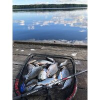 Удилище Волжанка Optima Evo Pro 10ft тест 25+гр 041-0111 (3м) - Превью изображения №8 — Интернет-магазин Time-Shop