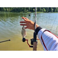 Удилище Волжанка Optima Evo Pro 10ft тест 25+гр 041-0111 (3м) - Превью изображения №7 — Интернет-магазин Time-Shop