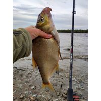 Удилище Волжанка Optima Evo Pro 10ft тест 25+гр 041-0111 (3м) - Превью изображения №5 — Интернет-магазин Time-Shop