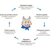 Сухой корм для кошек MyBestie Мэйн Кун (8 кг) - Превью изображения №7 — Интернет-магазин Time-Shop