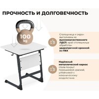 Парта Sheffilton SHT-T-TN14/5-7 (антрацит/береза) - Превью изображения №3 — Интернет-магазин Time-Shop