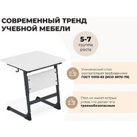 Парта Sheffilton SHT-T-TN14/5-7 (антрацит/береза) - Превью изображения №2 — Интернет-магазин Time-Shop