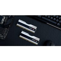 Оперативная память G.Skill Trident Z5 RGB 2x16ГБ DDR5 5600МГц F5-5600J4040C16GX2-TZ5RS - Превью изображения №7 — Интернет-магазин Time-Shop