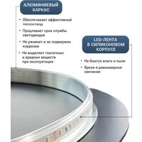 Зеркало с подсветкой  EMZE Smartphone 50x100 LED.SMART.50.100.4K (с подсветкой) - Превью изображения №7 — Интернет-магазин Time-Shop