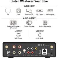 Сетевой интегральный усилитель Arylic H50 - Превью изображения №2 — Интернет-магазин Time-Shop