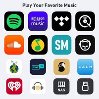 Сетевой интегральный усилитель Arylic H50 - Превью изображения №8 — Интернет-магазин Time-Shop