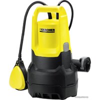 Karcher SP 1 Dirt