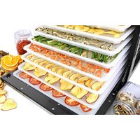 Сушилка для овощей и фруктов Tribest Sedona Combo Rawfood SD-P9150 (пластиковые лотки) - Превью изображения №10 — Интернет-магазин Time-Shop