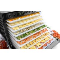 Сушилка для овощей и фруктов Tribest Sedona Combo Rawfood SD-P9150 (пластиковые лотки) - Превью изображения №12 — Интернет-магазин Time-Shop