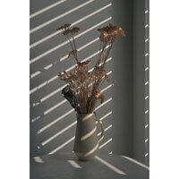 Беззеркальный фотоаппарат Nikon Z50 II Double Kit 16-50mm VR + 50-250mm VR - Превью изображения №44 — Интернет-магазин Time-Shop