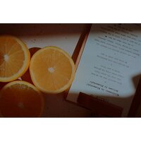 Беззеркальный фотоаппарат Nikon Z50 II Double Kit 16-50mm VR + 50-250mm VR - Превью изображения №39 — Интернет-магазин Time-Shop