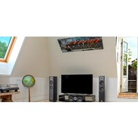 Полочная акустика DALI Oberon Vokal Black Ash - Превью изображения №4 — Интернет-магазин Time-Shop