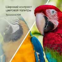 Телевизор Topdevice 65