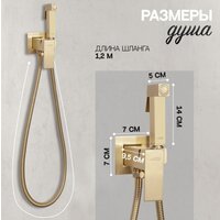 Гигиенический душ Hansberge H3077 (золото матовый) - Превью изображения №6 — Интернет-магазин Time-Shop