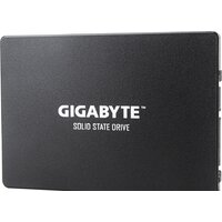 Gigabyte 1TB GP-GSTFS31100TNTD