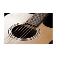 Электроакустическая гитара Baton Rouge AR11C/ACE - Превью изображения №6 — Интернет-магазин Time-Shop