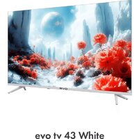 Телевизор Evo TV 43 White TD0051750RU - Превью изображения №8 — Интернет-магазин Time-Shop