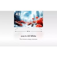 Телевизор Evo TV 43 White TD0051750RU - Превью изображения №5 — Интернет-магазин Time-Shop