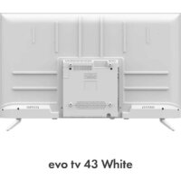 Телевизор Evo TV 43 White TD0051750RU - Превью изображения №2 — Интернет-магазин Time-Shop