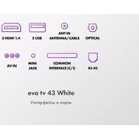 Телевизор Evo TV 43 White TD0051750RU - Превью изображения №9 — Интернет-магазин Time-Shop