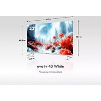 Телевизор Evo TV 43 White TD0051750RU - Превью изображения №10 — Интернет-магазин Time-Shop
