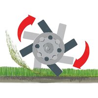 Скарификатор Weibang WB 384RB - Превью изображения №9 — Интернет-магазин Time-Shop